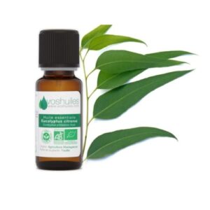eucalyptus citronné huile essentielle bio