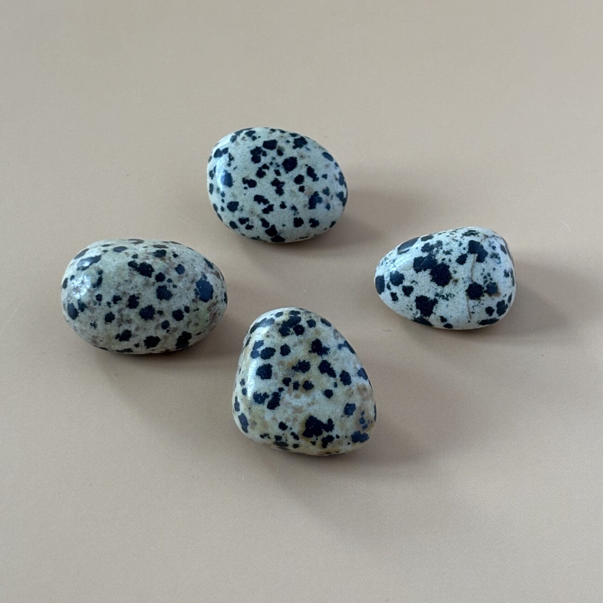 Jaspe Dalmatien poli – pierre joyeuse pour renforcer la connexion à l’instant présent