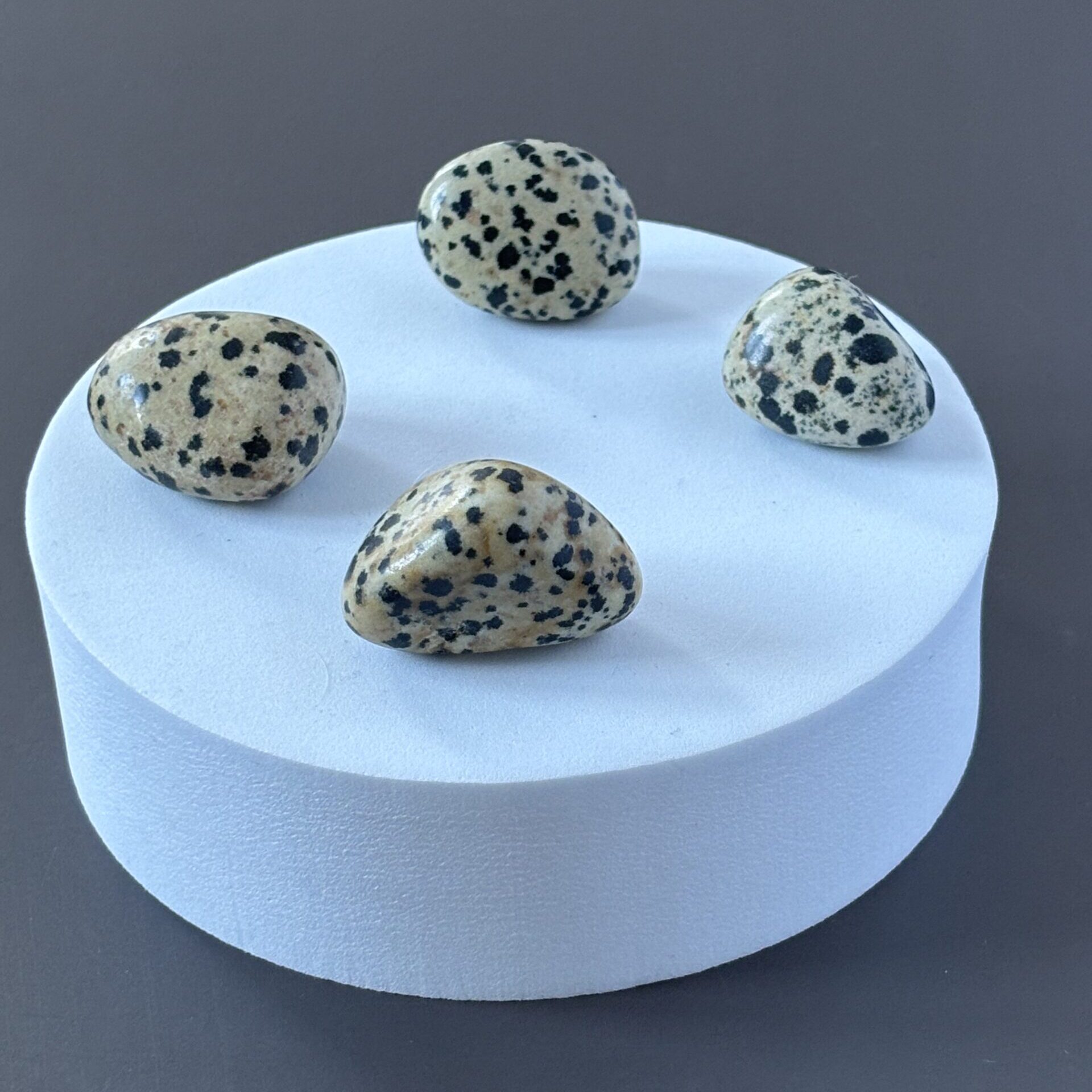 Pierre de Jaspe Dalmatien – équilibre les émotions et stimule la légèreté d’esprit