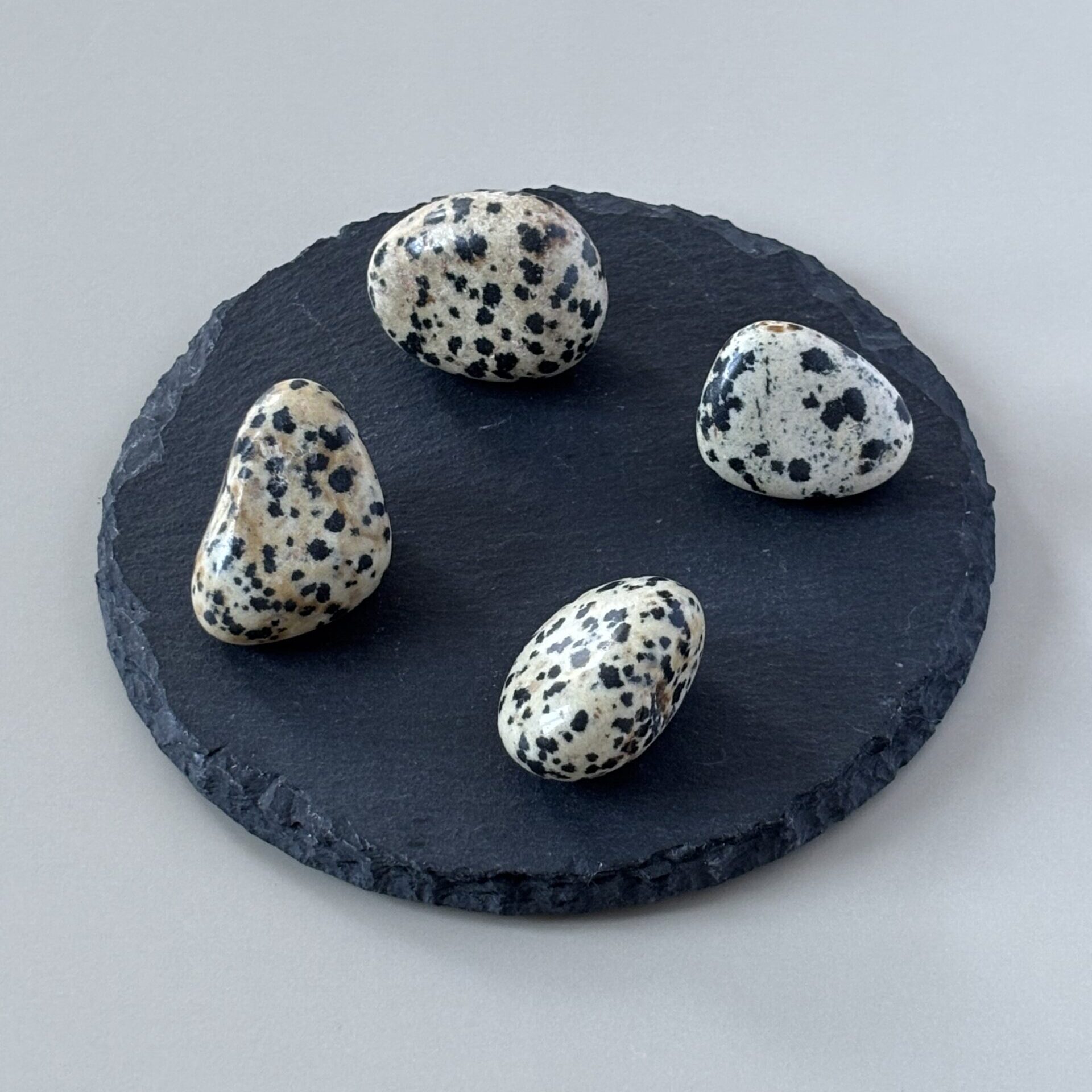 Jaspe Dalmatien roulé – énergie douce pour dissiper la négativité et retrouver l’optimisme