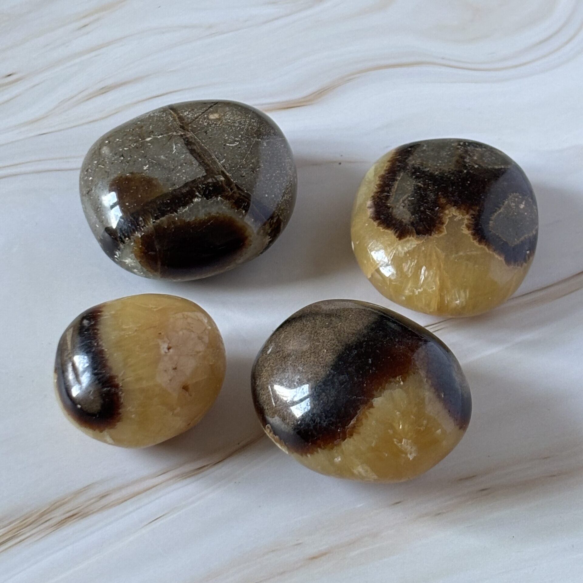 Galet en septaria authentique – minéral de transformation, favorise confiance et harmonie intérieure