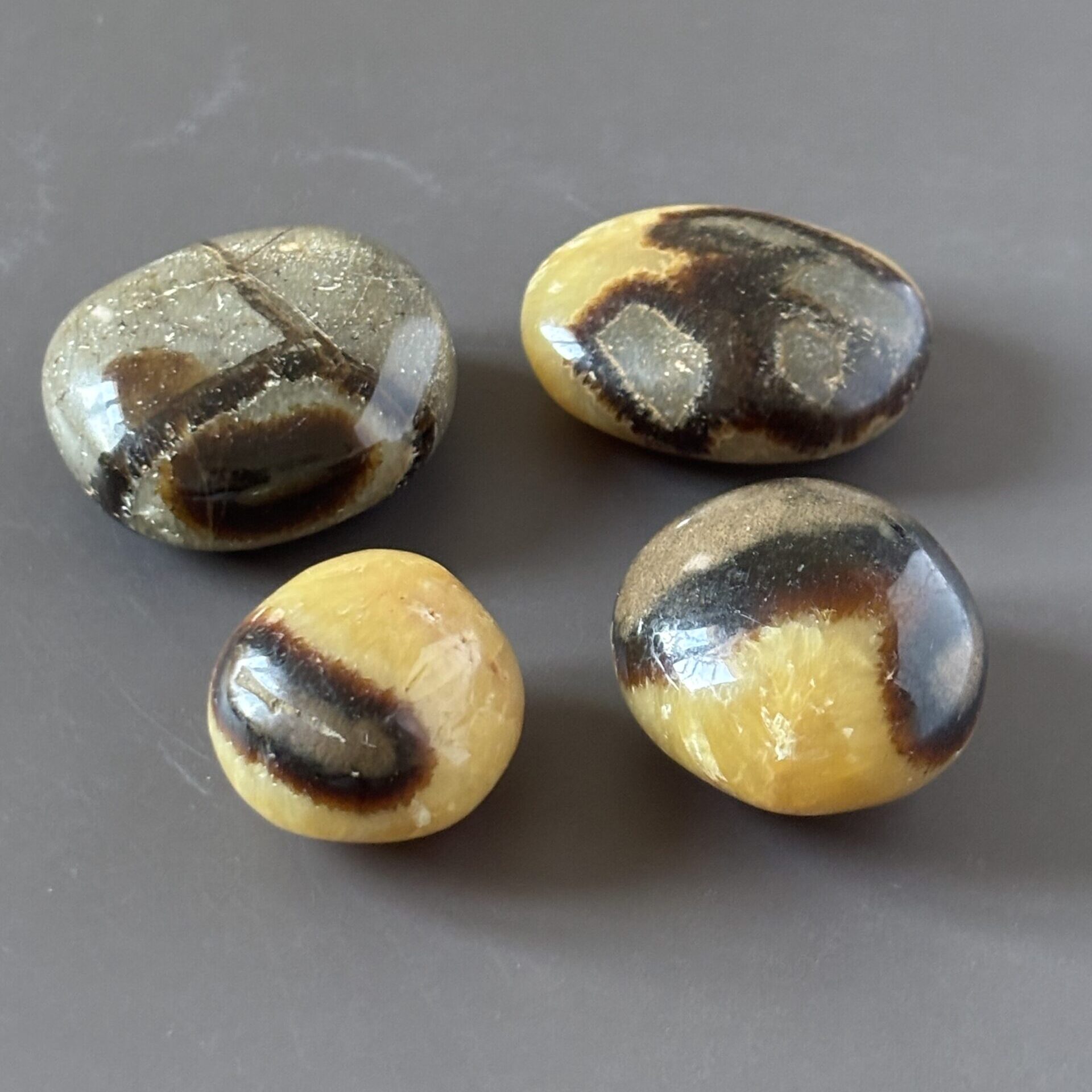 Galet de septaria naturel – pierre de stabilité et d’ancrage, motifs marron, jaune et beige uniques