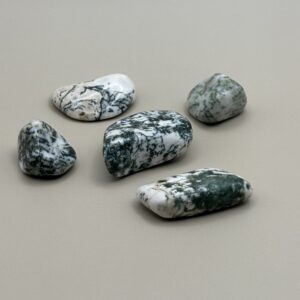 Agate Arbre naturelle – pierre roulée pour enracinement et équilibre émotionnel