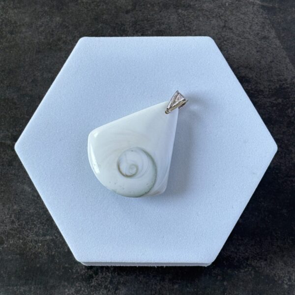 pendentif oeil de sainte lucie coquillage