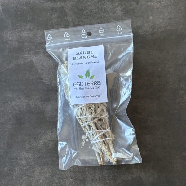 Fagot de sauge blanche séchée de Californie pour fumigation et méditation spirituelle