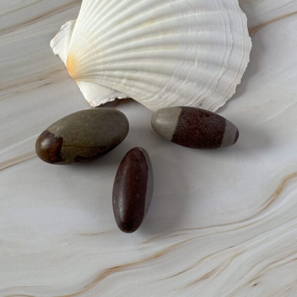 Minéral Shiva Lingam roulé, symbole d'harmonie et de vitalité