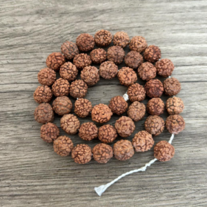 perles 8 mm RUDRAKSHA